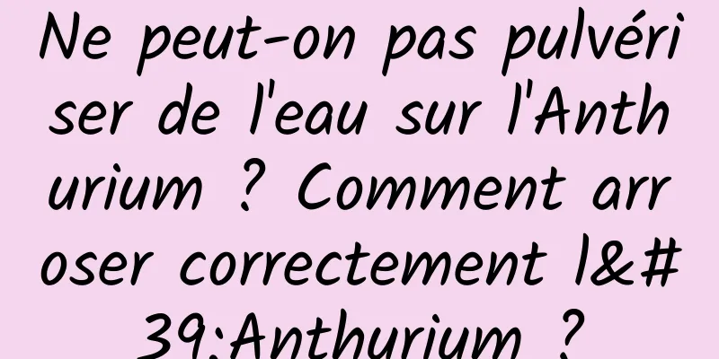 Ne peut-on pas pulvériser de l'eau sur l'Anthurium ? Comment arroser correctement l'Anthurium ?