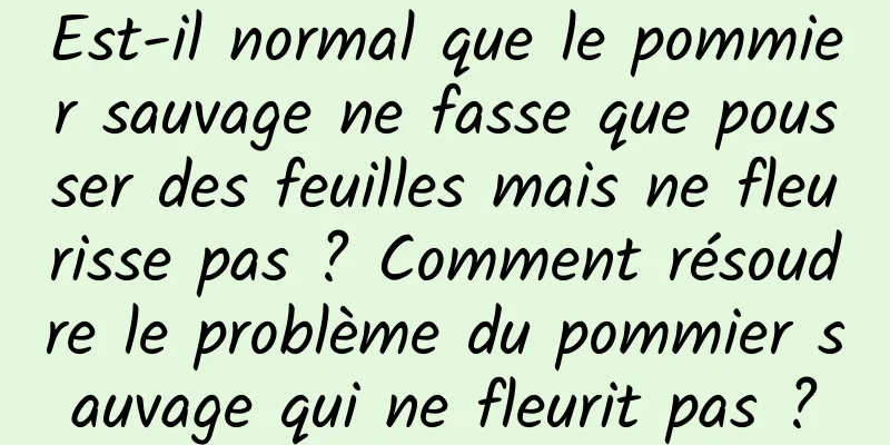 Est-il normal que le pommier sauvage ne fasse que pousser des feuilles mais ne fleurisse pas ? Comment résoudre le problème du pommier sauvage qui ne fleurit pas ?