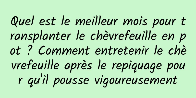 Quel est le meilleur mois pour transplanter le chèvrefeuille en pot ? Comment entretenir le chèvrefeuille après le repiquage pour qu'il pousse vigoureusement