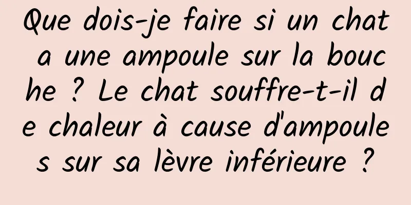 Que dois-je faire si un chat a une ampoule sur la bouche ? Le chat souffre-t-il de chaleur à cause d'ampoules sur sa lèvre inférieure ?