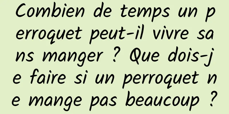 Combien de temps un perroquet peut-il vivre sans manger ? Que dois-je faire si un perroquet ne mange pas beaucoup ?