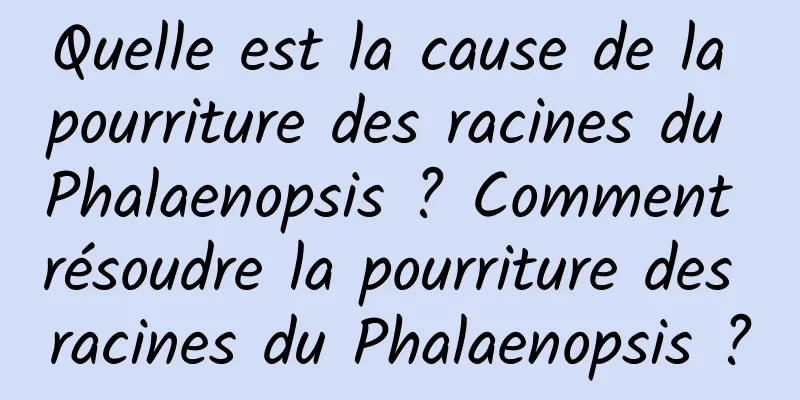 Quelle est la cause de la pourriture des racines du Phalaenopsis ? Comment résoudre la pourriture des racines du Phalaenopsis ?