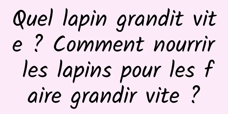 Quel lapin grandit vite ? Comment nourrir les lapins pour les faire grandir vite ?