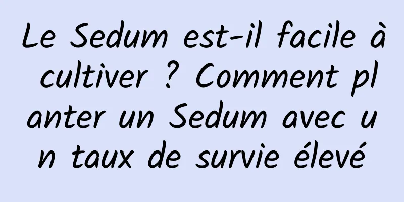 Le Sedum est-il facile à cultiver ? Comment planter un Sedum avec un taux de survie élevé