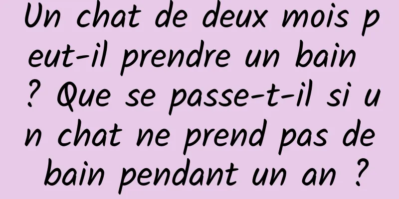 Un chat de deux mois peut-il prendre un bain ? Que se passe-t-il si un chat ne prend pas de bain pendant un an ?