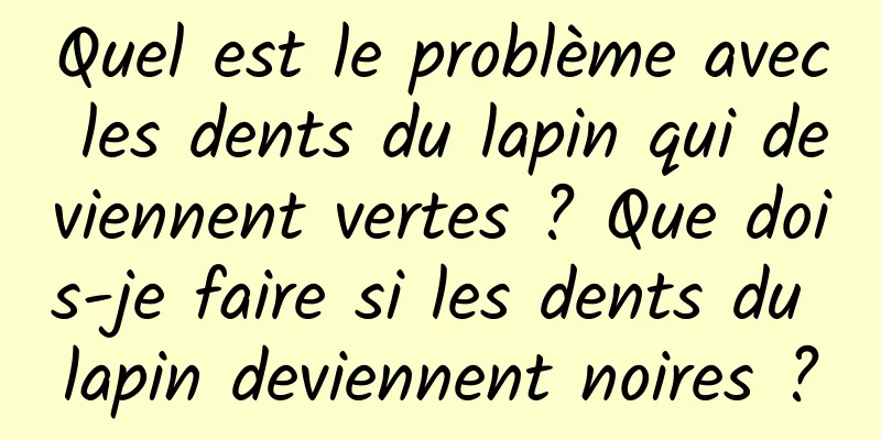 Quel est le problème avec les dents du lapin qui deviennent vertes ? Que dois-je faire si les dents du lapin deviennent noires ?