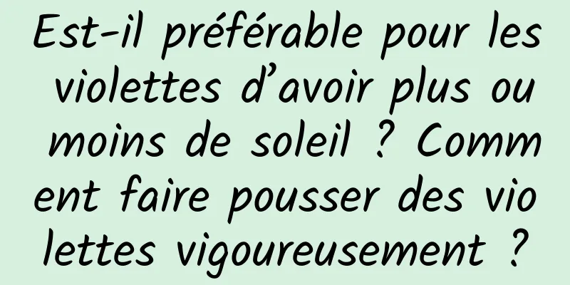 Est-il préférable pour les violettes d’avoir plus ou moins de soleil ? Comment faire pousser des violettes vigoureusement ?