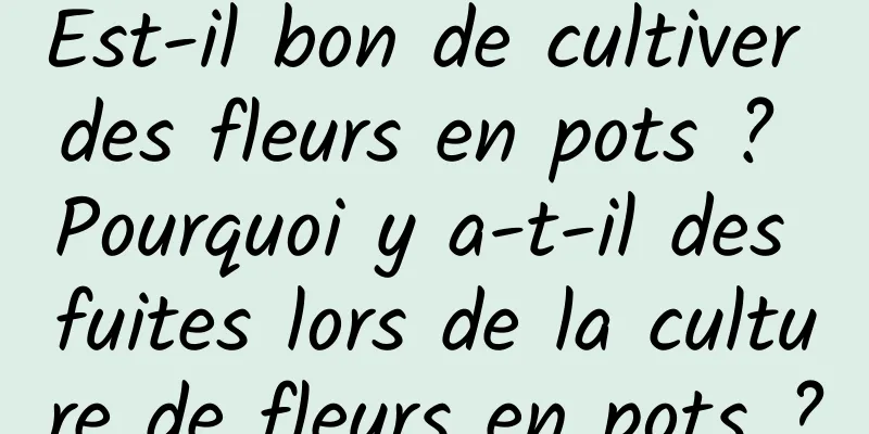 Est-il bon de cultiver des fleurs en pots ? Pourquoi y a-t-il des fuites lors de la culture de fleurs en pots ?