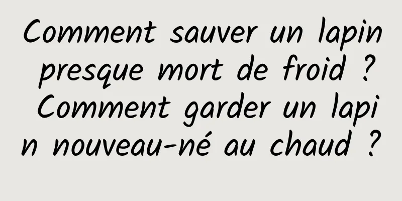 Comment sauver un lapin presque mort de froid ? Comment garder un lapin nouveau-né au chaud ?