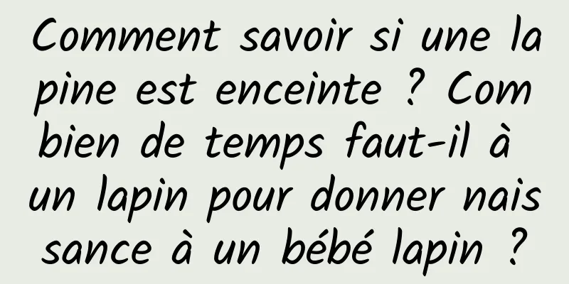 Comment savoir si une lapine est enceinte ? Combien de temps faut-il à un lapin pour donner naissance à un bébé lapin ?