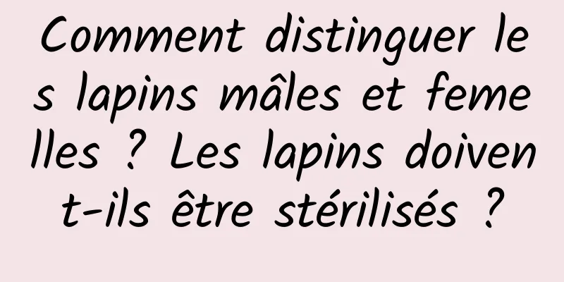 Comment distinguer les lapins mâles et femelles ? Les lapins doivent-ils être stérilisés ?