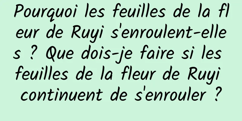 Pourquoi les feuilles de la fleur de Ruyi s'enroulent-elles ? Que dois-je faire si les feuilles de la fleur de Ruyi continuent de s'enrouler ?