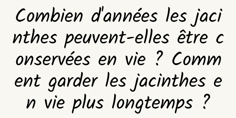 Combien d'années les jacinthes peuvent-elles être conservées en vie ? Comment garder les jacinthes en vie plus longtemps ?
