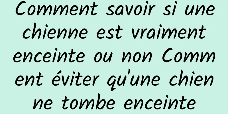 Comment savoir si une chienne est vraiment enceinte ou non Comment éviter qu'une chienne tombe enceinte