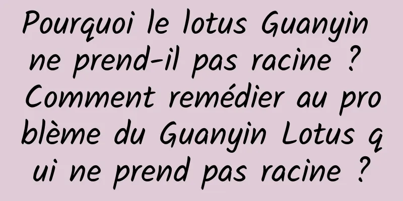Pourquoi le lotus Guanyin ne prend-il pas racine ? Comment remédier au problème du Guanyin Lotus qui ne prend pas racine ?