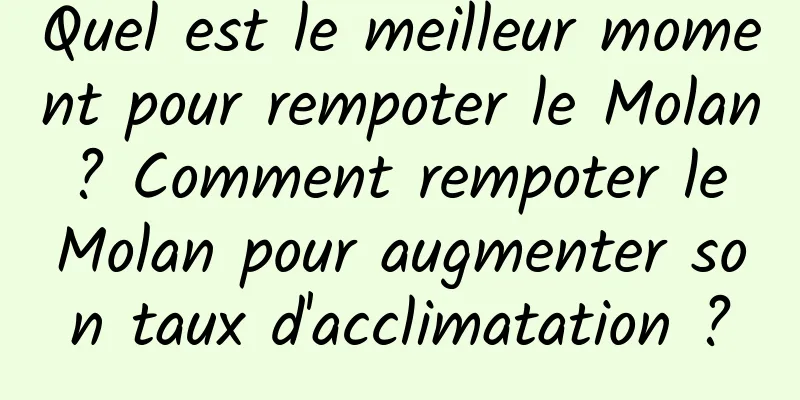 Quel est le meilleur moment pour rempoter le Molan ? Comment rempoter le Molan pour augmenter son taux d'acclimatation ?