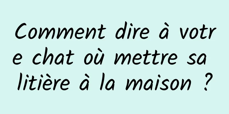 Comment dire à votre chat où mettre sa litière à la maison ?