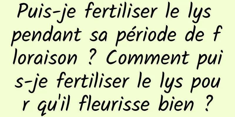 Puis-je fertiliser le lys pendant sa période de floraison ? Comment puis-je fertiliser le lys pour qu'il fleurisse bien ?