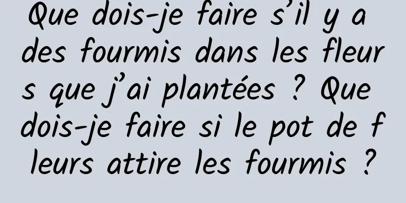 Que dois-je faire s’il y a des fourmis dans les fleurs que j’ai plantées ? Que dois-je faire si le pot de fleurs attire les fourmis ?