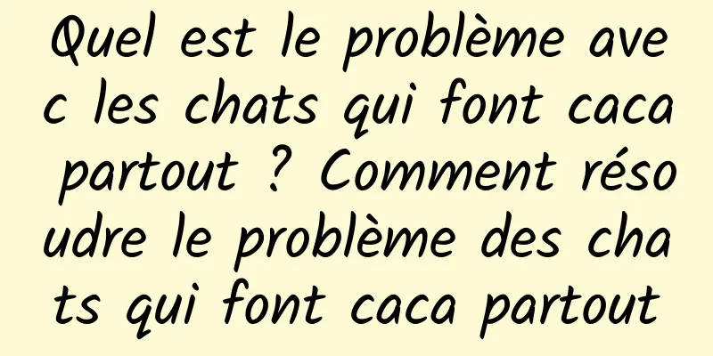 Quel est le problème avec les chats qui font caca partout ? Comment résoudre le problème des chats qui font caca partout