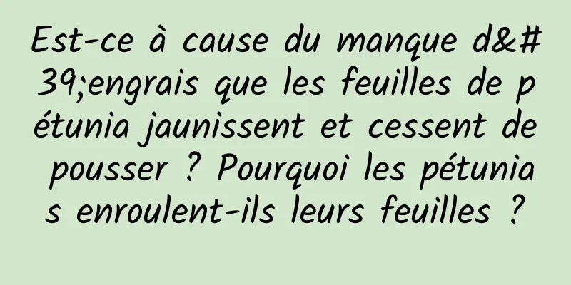 Est-ce à cause du manque d'engrais que les feuilles de pétunia jaunissent et cessent de pousser ? Pourquoi les pétunias enroulent-ils leurs feuilles ?
