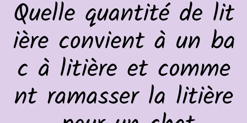 Quelle quantité de litière convient à un bac à litière et comment ramasser la litière pour un chat