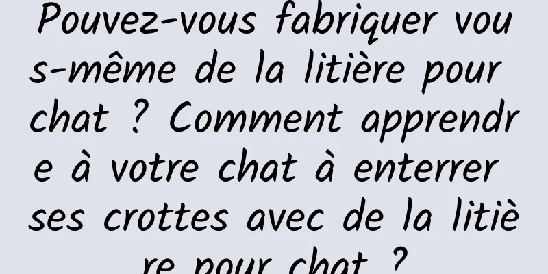 Pouvez-vous fabriquer vous-même de la litière pour chat ? Comment apprendre à votre chat à enterrer ses crottes avec de la litière pour chat ?