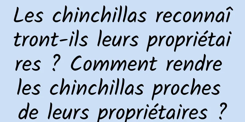 Les chinchillas reconnaîtront-ils leurs propriétaires ? Comment rendre les chinchillas proches de leurs propriétaires ?