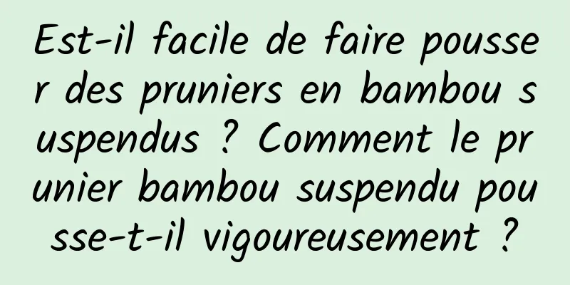Est-il facile de faire pousser des pruniers en bambou suspendus ? Comment le prunier bambou suspendu pousse-t-il vigoureusement ?