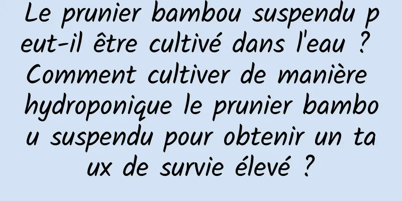 Le prunier bambou suspendu peut-il être cultivé dans l'eau ? Comment cultiver de manière hydroponique le prunier bambou suspendu pour obtenir un taux de survie élevé ?