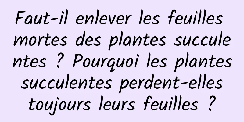Faut-il enlever les feuilles mortes des plantes succulentes ? Pourquoi les plantes succulentes perdent-elles toujours leurs feuilles ?