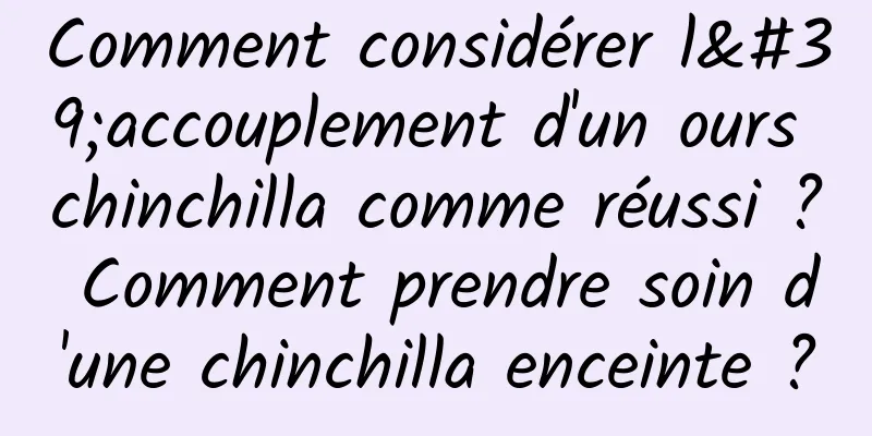 Comment considérer l'accouplement d'un ours chinchilla comme réussi ? Comment prendre soin d'une chinchilla enceinte ?