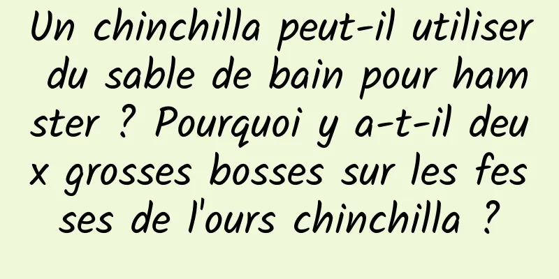 Un chinchilla peut-il utiliser du sable de bain pour hamster ? Pourquoi y a-t-il deux grosses bosses sur les fesses de l'ours chinchilla ?