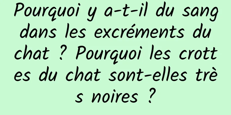 Pourquoi y a-t-il du sang dans les excréments du chat ? Pourquoi les crottes du chat sont-elles très noires ?