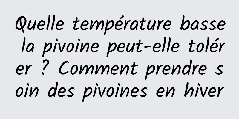 Quelle température basse la pivoine peut-elle tolérer ? Comment prendre soin des pivoines en hiver