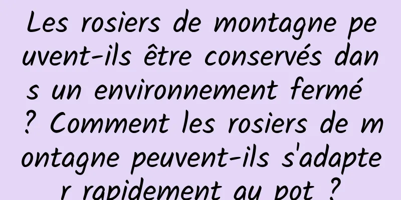 Les rosiers de montagne peuvent-ils être conservés dans un environnement fermé ? Comment les rosiers de montagne peuvent-ils s'adapter rapidement au pot ?