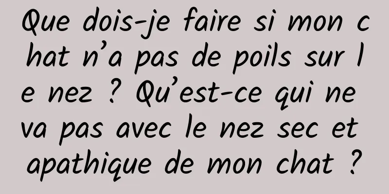Que dois-je faire si mon chat n’a pas de poils sur le nez ? Qu’est-ce qui ne va pas avec le nez sec et apathique de mon chat ?