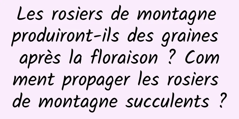Les rosiers de montagne produiront-ils des graines après la floraison ? Comment propager les rosiers de montagne succulents ?