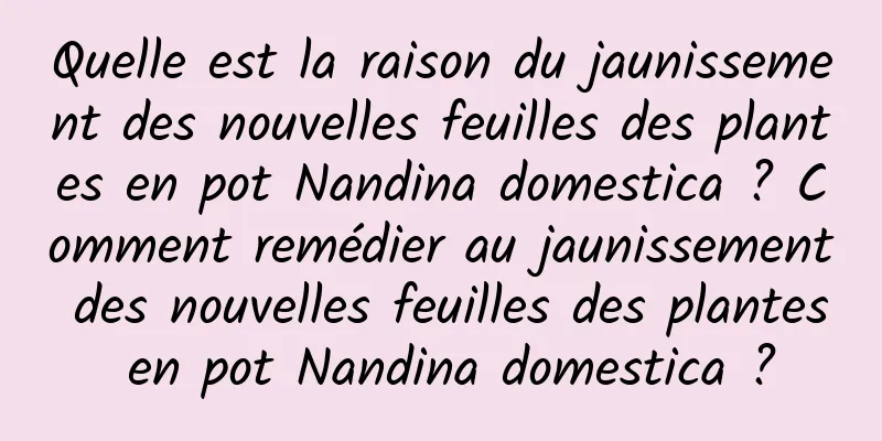 Quelle est la raison du jaunissement des nouvelles feuilles des plantes en pot Nandina domestica ? Comment remédier au jaunissement des nouvelles feuilles des plantes en pot Nandina domestica ?