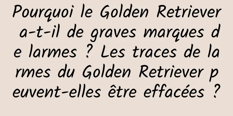Pourquoi le Golden Retriever a-t-il de graves marques de larmes ? Les traces de larmes du Golden Retriever peuvent-elles être effacées ?