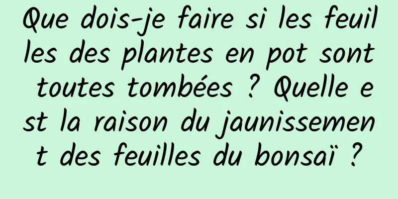 Que dois-je faire si les feuilles des plantes en pot sont toutes tombées ? Quelle est la raison du jaunissement des feuilles du bonsaï ?