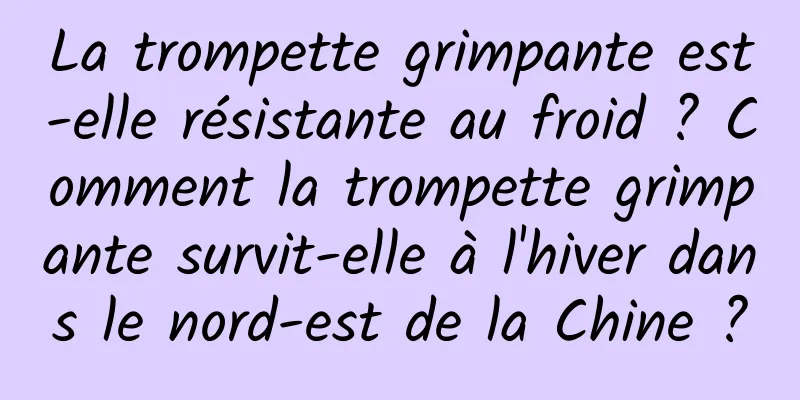 La trompette grimpante est-elle résistante au froid ? Comment la trompette grimpante survit-elle à l'hiver dans le nord-est de la Chine ?