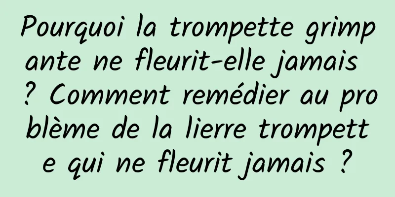 Pourquoi la trompette grimpante ne fleurit-elle jamais ? Comment remédier au problème de la lierre trompette qui ne fleurit jamais ?