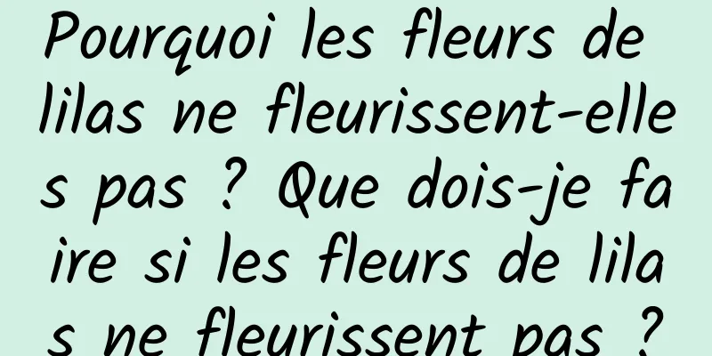 Pourquoi les fleurs de lilas ne fleurissent-elles pas ? Que dois-je faire si les fleurs de lilas ne fleurissent pas ?