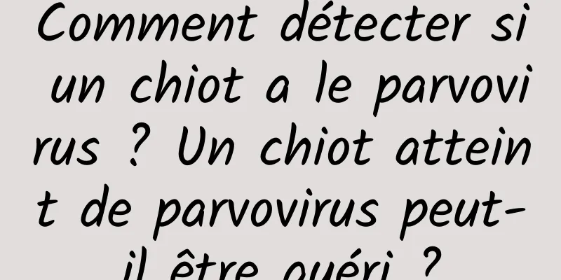 Comment détecter si un chiot a le parvovirus ? Un chiot atteint de parvovirus peut-il être guéri ?