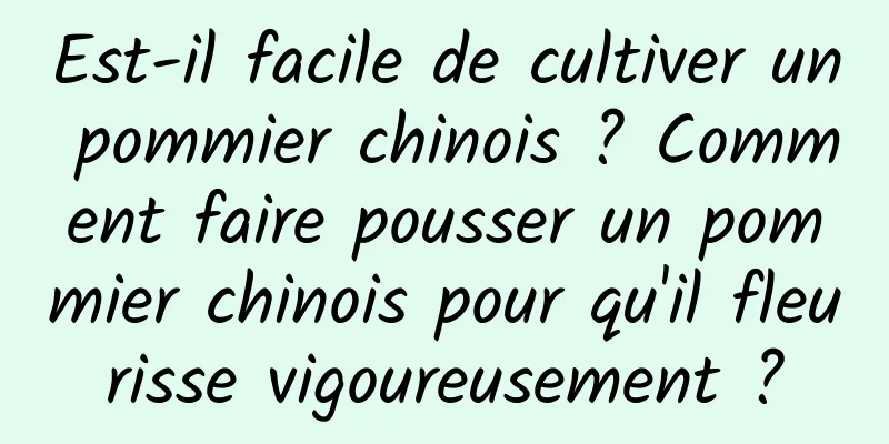 Est-il facile de cultiver un pommier chinois ? Comment faire pousser un pommier chinois pour qu'il fleurisse vigoureusement ?