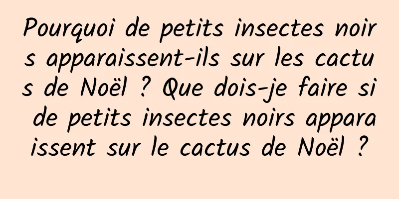 Pourquoi de petits insectes noirs apparaissent-ils sur les cactus de Noël ? Que dois-je faire si de petits insectes noirs apparaissent sur le cactus de Noël ?