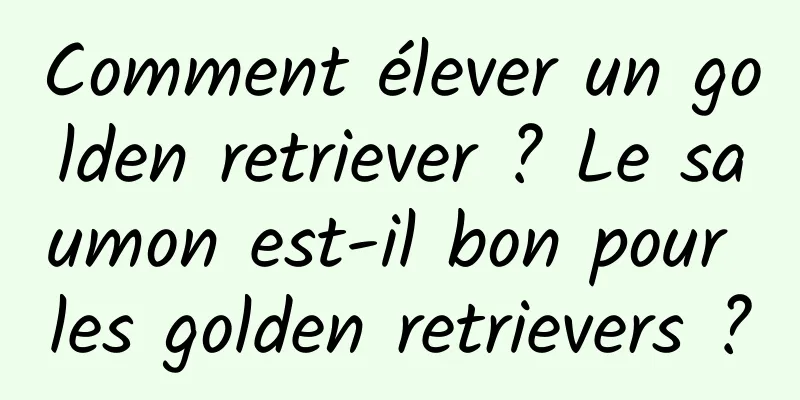 Comment élever un golden retriever ? Le saumon est-il bon pour les golden retrievers ?