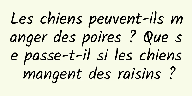 Les chiens peuvent-ils manger des poires ? Que se passe-t-il si les chiens mangent des raisins ?
