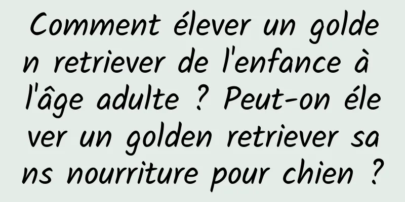 Comment élever un golden retriever de l'enfance à l'âge adulte ? Peut-on élever un golden retriever sans nourriture pour chien ?
